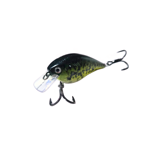 Black Crappie