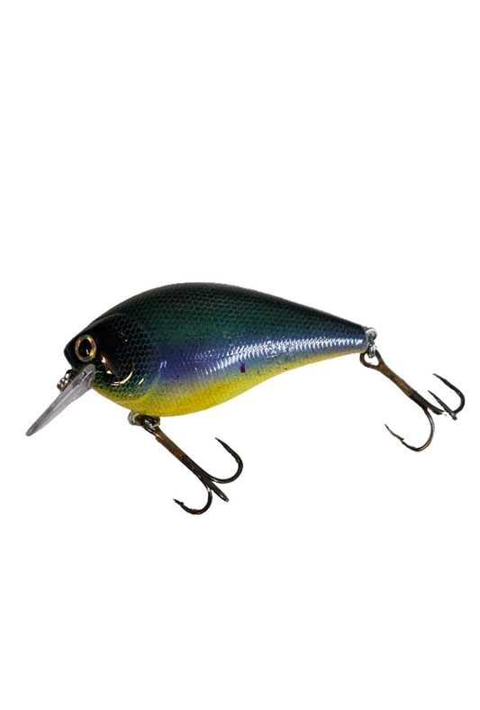 Mahi-Mahi